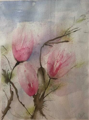 184. Magnolia 2